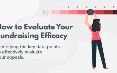 How to Evaluate Your Fundraising Efficacy