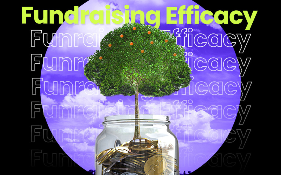 How to evaluate your fundraising efficacy.
