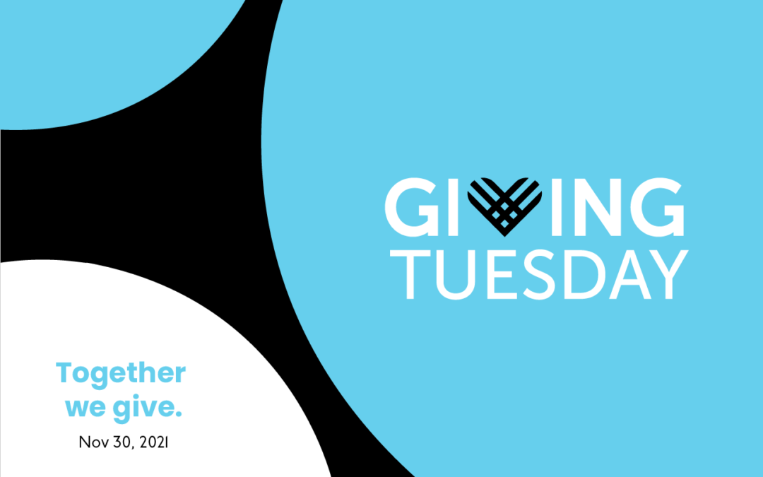 Securing long-term value from Giving Tuesday donors.