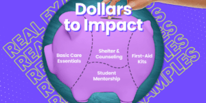 The right way to compare dollars to impact.